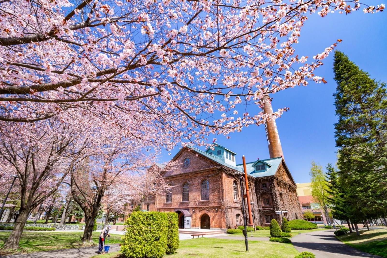 Hotel Sunroute Sapporo Ngoại thất bức ảnh